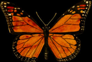 Monarch Butterfly Spread Wings PNG image with transparent background