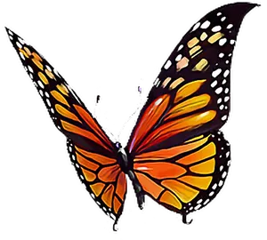 Monarch Butterfly Spread Wings PNG Image