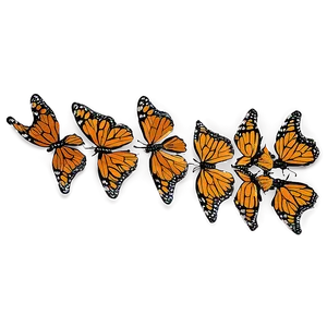 Monarch Butterfly Swarm Png Gdr PNG Image