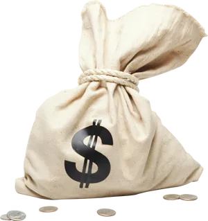 Money Bag Vector Illustration PNG Image