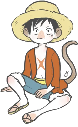 Monkey D Luffy Anime Character Illustration PNG Image