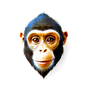 Monkey Face D PNG Image