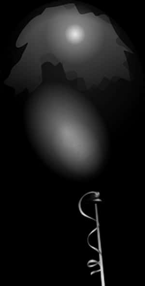 Monochrome Balloon Illustration PNG image with transparent background