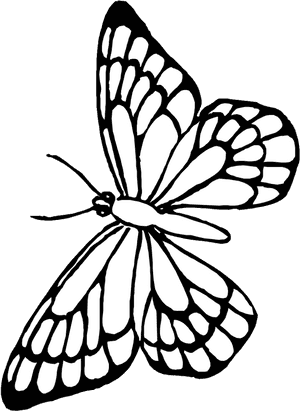 Transparent Butterfly Outline Clipart - Free Printable Butterfly Coloring Pages, HD Png Download PNG image with transparent background