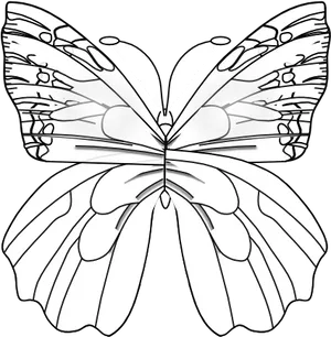 Monochrome Butterfly Illustration.png PNG Image