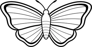 Monochrome Butterfly Illustration PNG Image