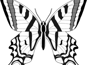 Monarch Butterfly Clipart Outline, HD Png Download PNG image with transparent background