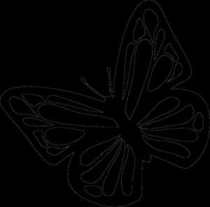 Monochrome Butterfly Silhouette PNG image with transparent background