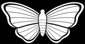 Monochrome_ Butterfly_ Vector_ Art PNG image with transparent background