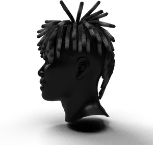 Monochrome Dreadlocks Profile PNG Image