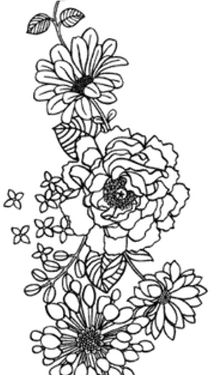 Monochrome Floral Sketch Art PNG Image