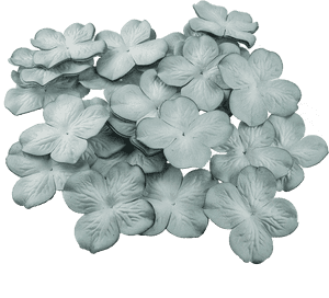 50 2-tone Cadet Blue Hydrangea Blooms - Artificial Flower, HD Png Download PNG image with transparent background