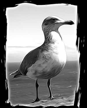Monochrome Seagull Portrait PNG with transparent background