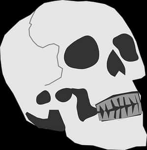 Monochrome Skull Illustration PNG image with transparent background