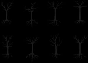 Monochrome_ Tree_ Silhouettes_ Pattern.jpg PNG image with transparent background