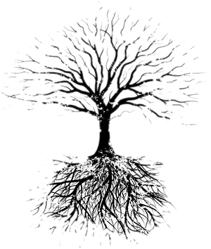 Monochrome_ Tree_with_ Roots PNG Image