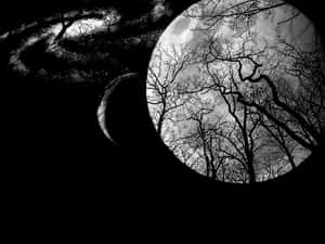 Monochrome_ Treetop_ Silhouettes PNG with transparent background