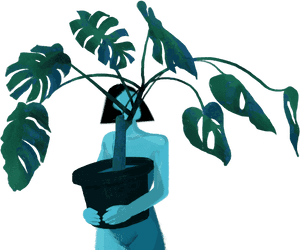 Monstera Deliciosa Indoor Plant Illustration PNG image with transparent background