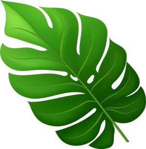 Monstera Deliciosa Leaf Illustration PNG Image