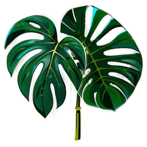 Monstera Deliciosa Vector PNG aal1 PNG image with transparent background