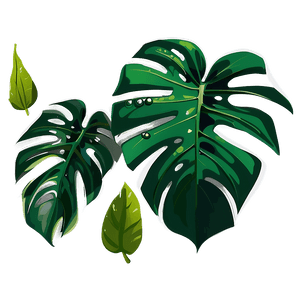Monstera Deliciosa Vector PNG snp PNG image with transparent background