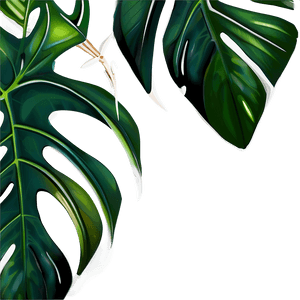 Monstera Leaf Design PNG 05232024 PNG image with transparent background