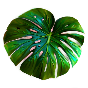 Monstera Leaf Design PNG 77 PNG image with transparent background