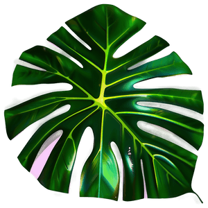 Monstera Leaf Design PNG mla45 PNG image with transparent background