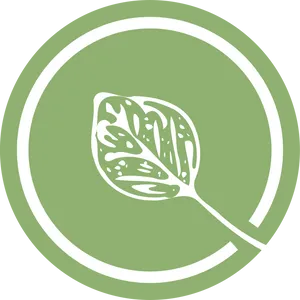 Monstera Leaf Graphic Design PNG Image