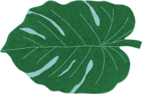 Monstera Leaf Texture PNG image with transparent background
