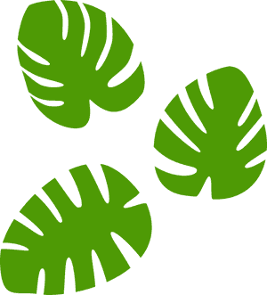 Monstera Leaves Pattern PNG image with transparent background