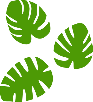 Monstera Leaves Pattern PNG Image