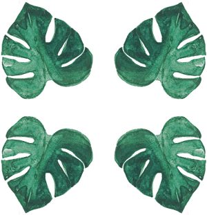 Monstera Leaves Pattern Watercolor PNG image with transparent background