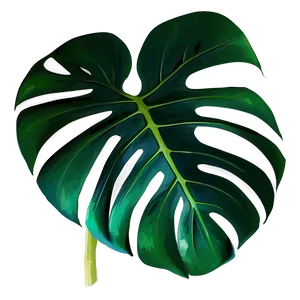 Monstera Plant Leaf Png Skg43 PNG Image