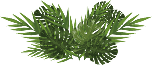 Monsteraand Palm Leaves Illustration PNG image with transparent background