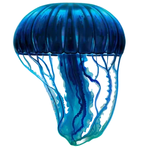 Moon Jelly Underwater Beauty Png Wgf52 PNG Image