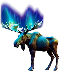 Moose And Northern Lights Png Prm PNG Image