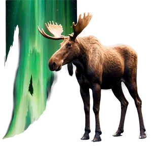 Moose And Northern Lights Png Vio17 PNG Image