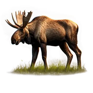 Moose Grazing Scenery Png Syo13 PNG Image