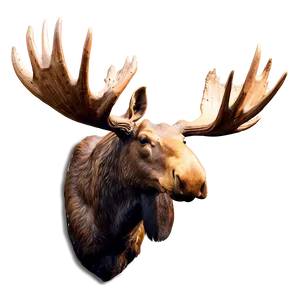 Moose Head Mount Png Mnj12 PNG Image