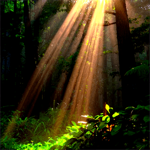 Morning Sun Rays PNG bit PNG