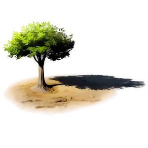 Morning Tree Shadow Png Xpv1 PNG Image