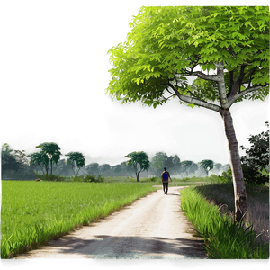 Morning Walk Scenery PNG xws PNG image with transparent background