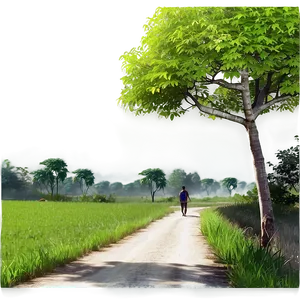 Morning Walk Scenery Png Xws PNG Image