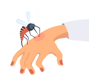 Bug Bite - Bug Bite Clipart, HD Png Download PNG image with transparent background