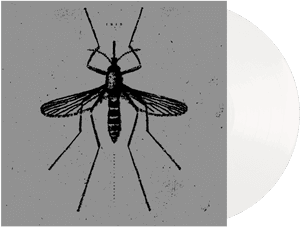 Isis Mosquito, HD Png Download PNG image with transparent background