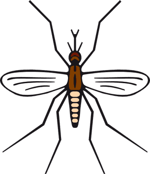 Mosquito In Brown Color Svg Clip Arts - Mosquito Black And White Clipart, HD Png Download PNG image with transparent background