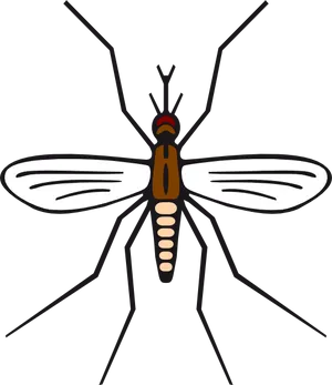 Mosquito Illustration Vector PNG Image