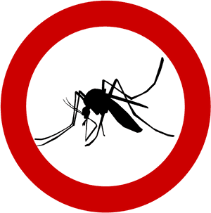 Mosquito Clip Jpeg - Dengue Clipart Png, Transparent Png PNG image with transparent background