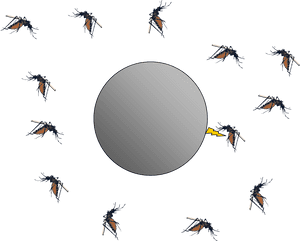 Bug Zappers And Electrostatics The Smoluchowski Diffusion - Flying Transparent Insect Mosquito Mosquito Png, Png Download PNG image with transparent background